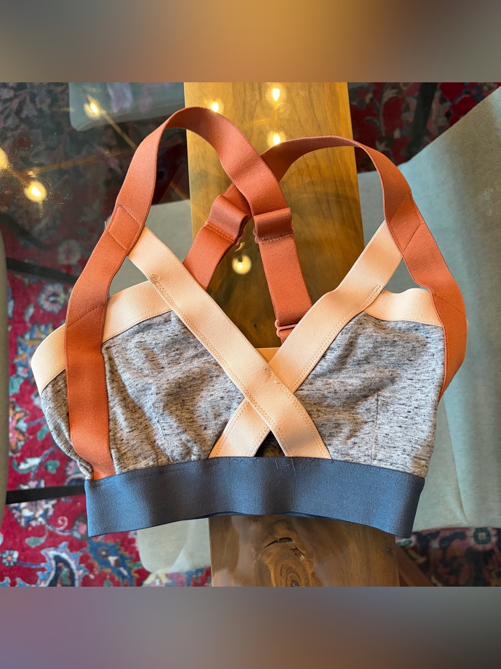 Aritzia Sports Bra